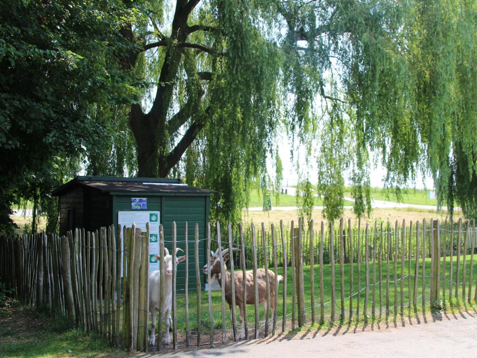 Nice Holiday Home With Garden Zevenhuizen  Экстерьер фото